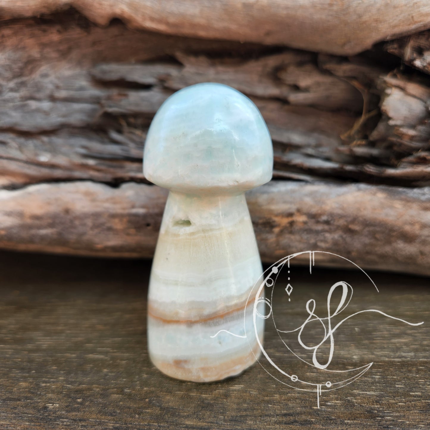 Caribbean Calcite Mushroom A