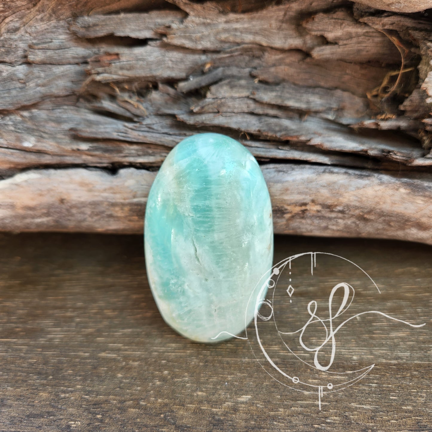 Caribbean Calcite Palm A