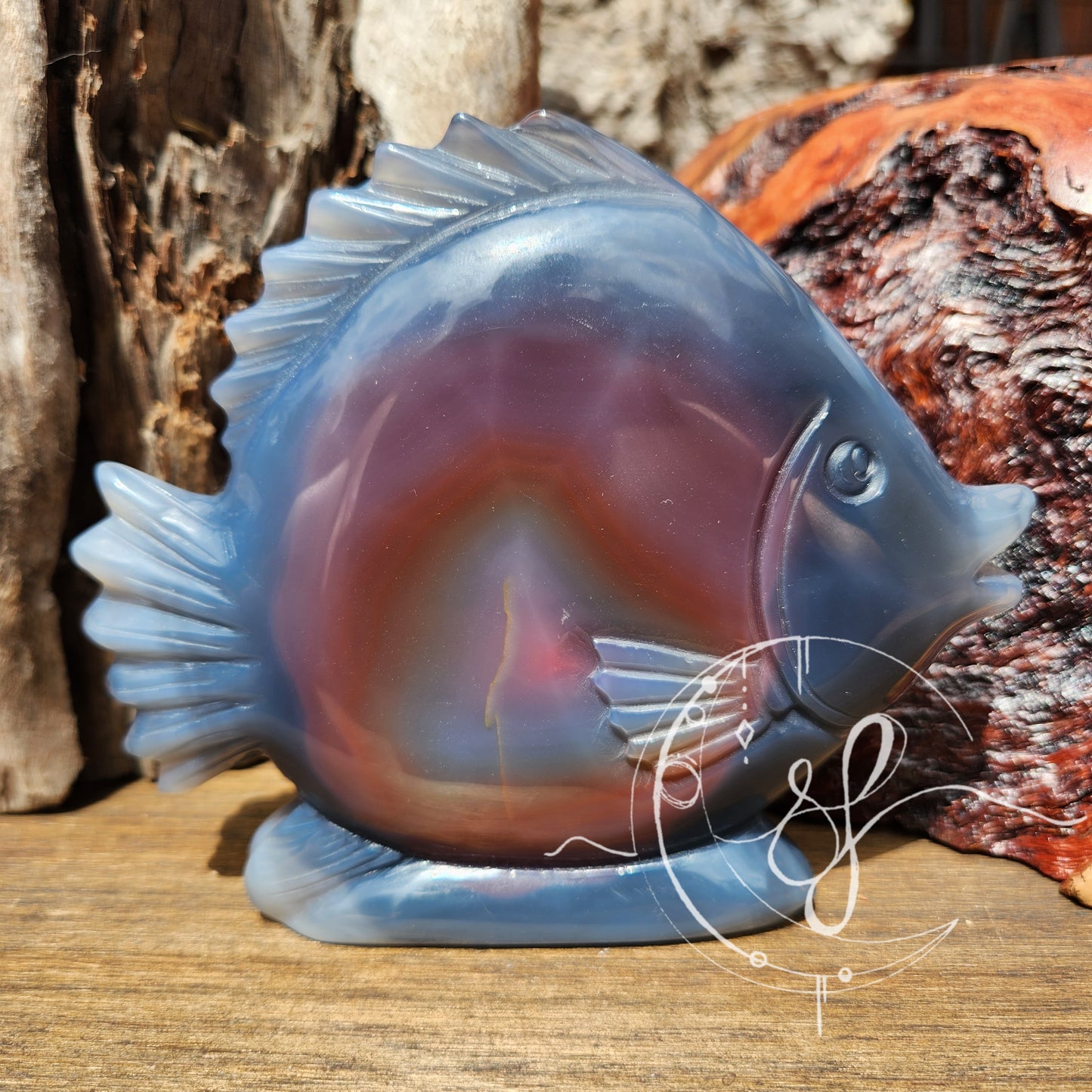Angel Fish Carving Natural Agate with Druzy She Fire