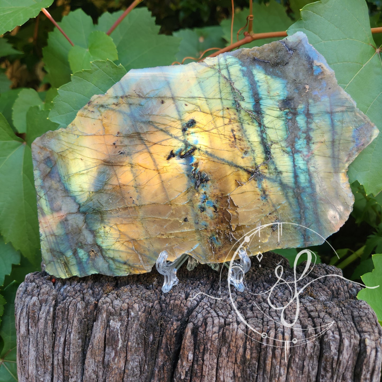 Labradorite Madagascar Slab polished front raw back She Fire