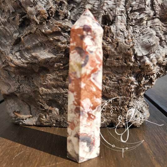 Money Agate Point D