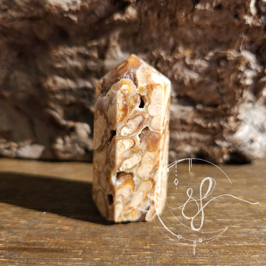 Amber agate point F