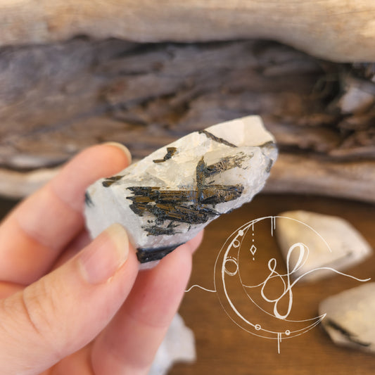 Black Tourmaline in Quartz Matrix Raw