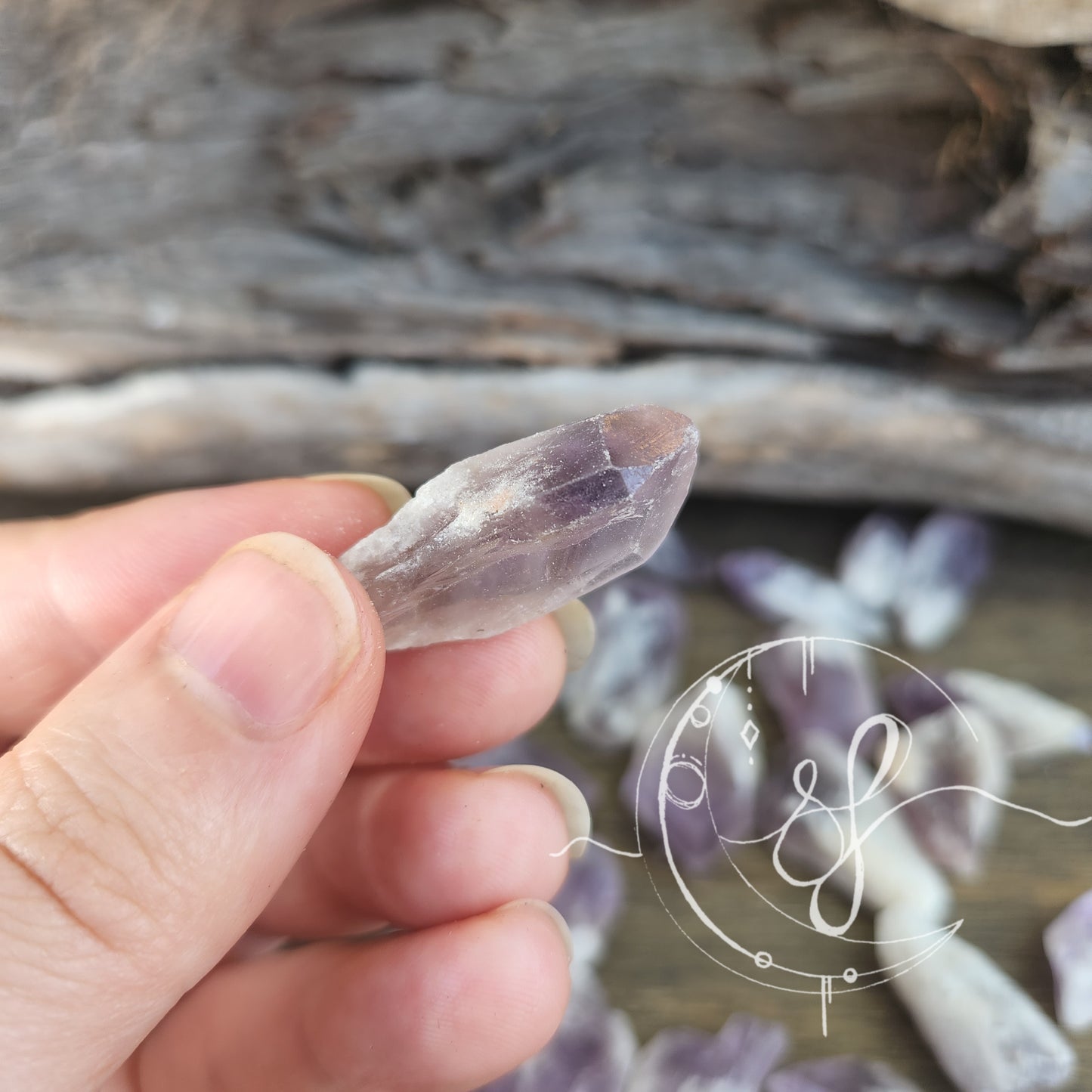 Amethyst Root