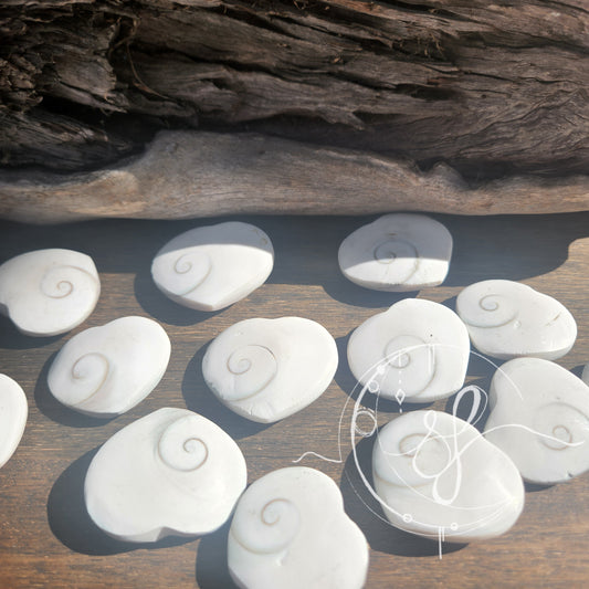 Shiva Shell