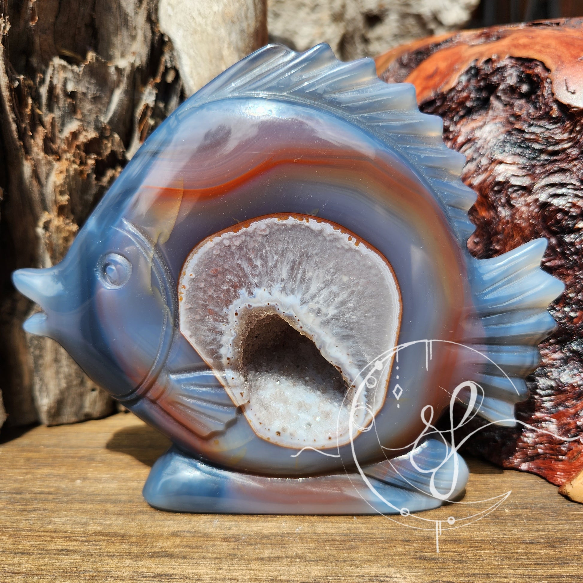 Angel Fish Carving Natural Agate with Druzy She Fire