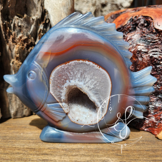 Angel Fish Carving Natural Agate with Druzy She Fire