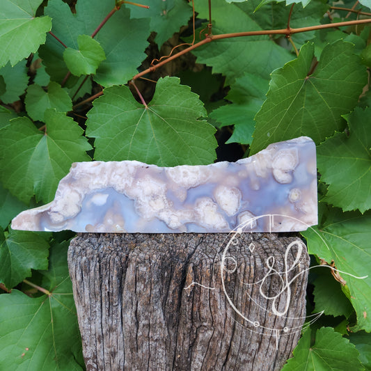 Flower agate slab raw back she fire