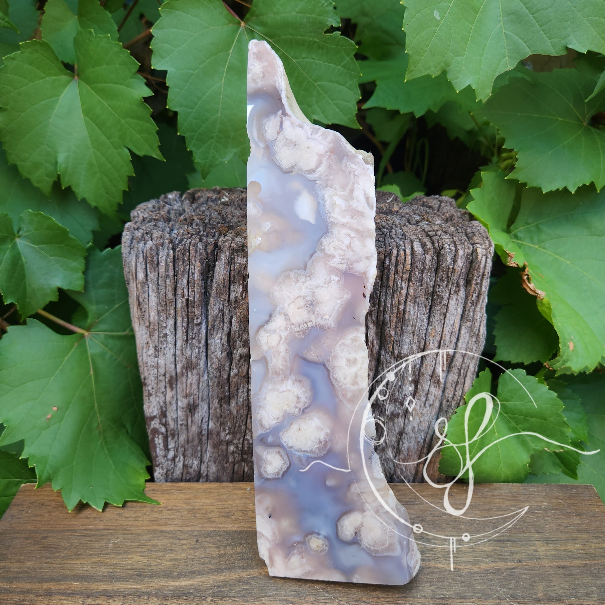Flower agate slab raw back she fire