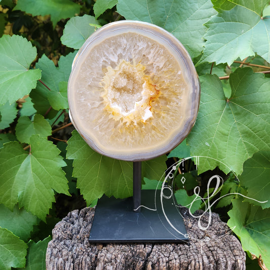 Polished Agate druzy quartz geode on stand she fire