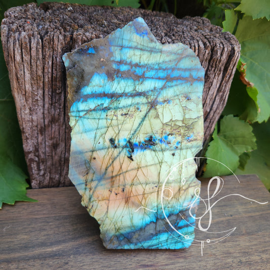 Labradorite Madagascar Slab polished front raw back She Fire