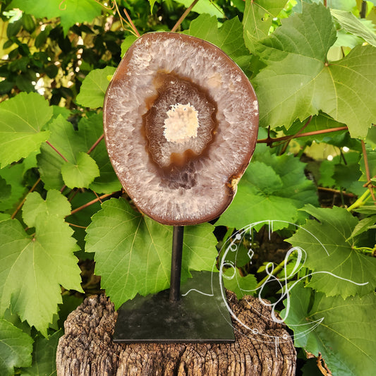 Quartz Agate Druzy Stand brazil she fire