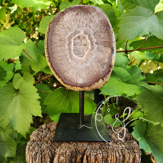 Druzy quartz polished agate geode brazil on stand she fire