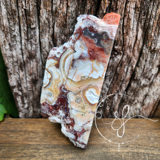 Mexical Lace Agate Slab Slice She Fire