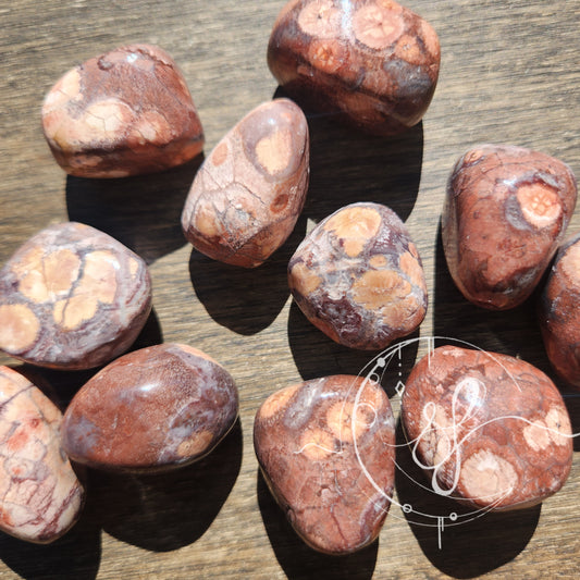 Handcut birds eye jasper tumbles