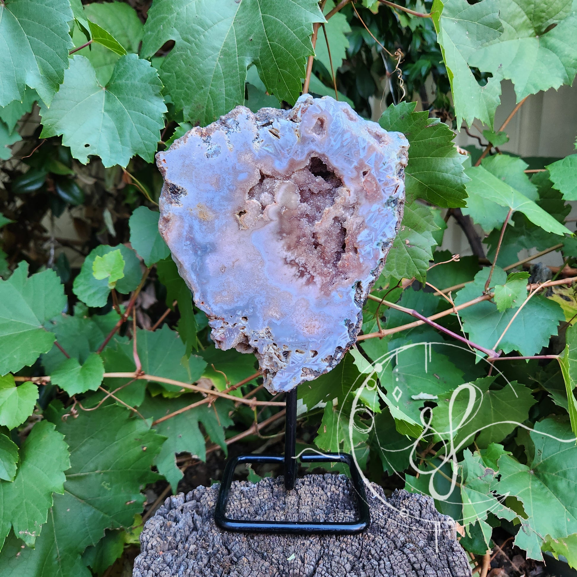 Pink Amethyst Stand She Fire