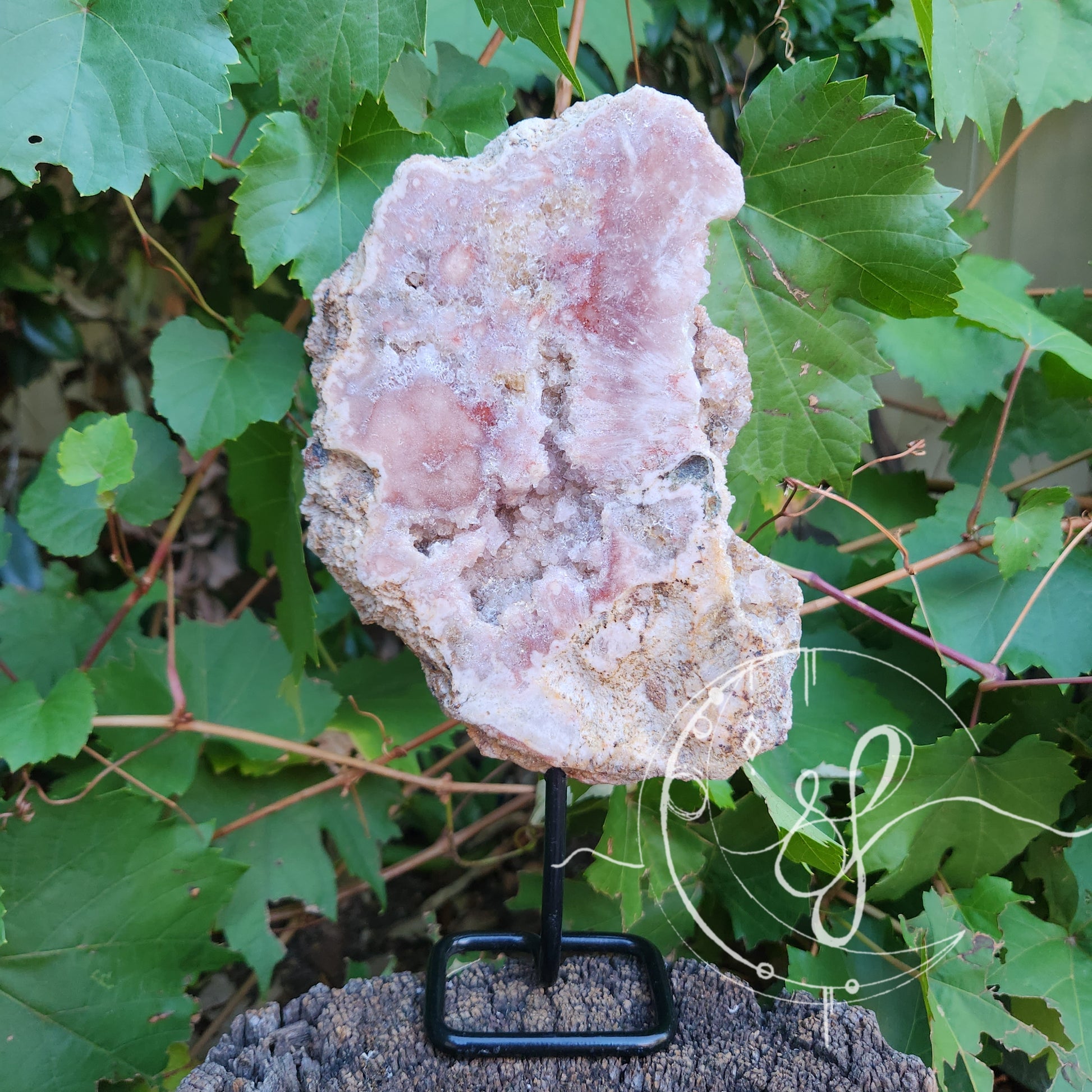Pink Amethyst Stand She Fire