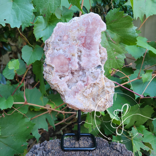 Pink Amethyst Stand She Fire