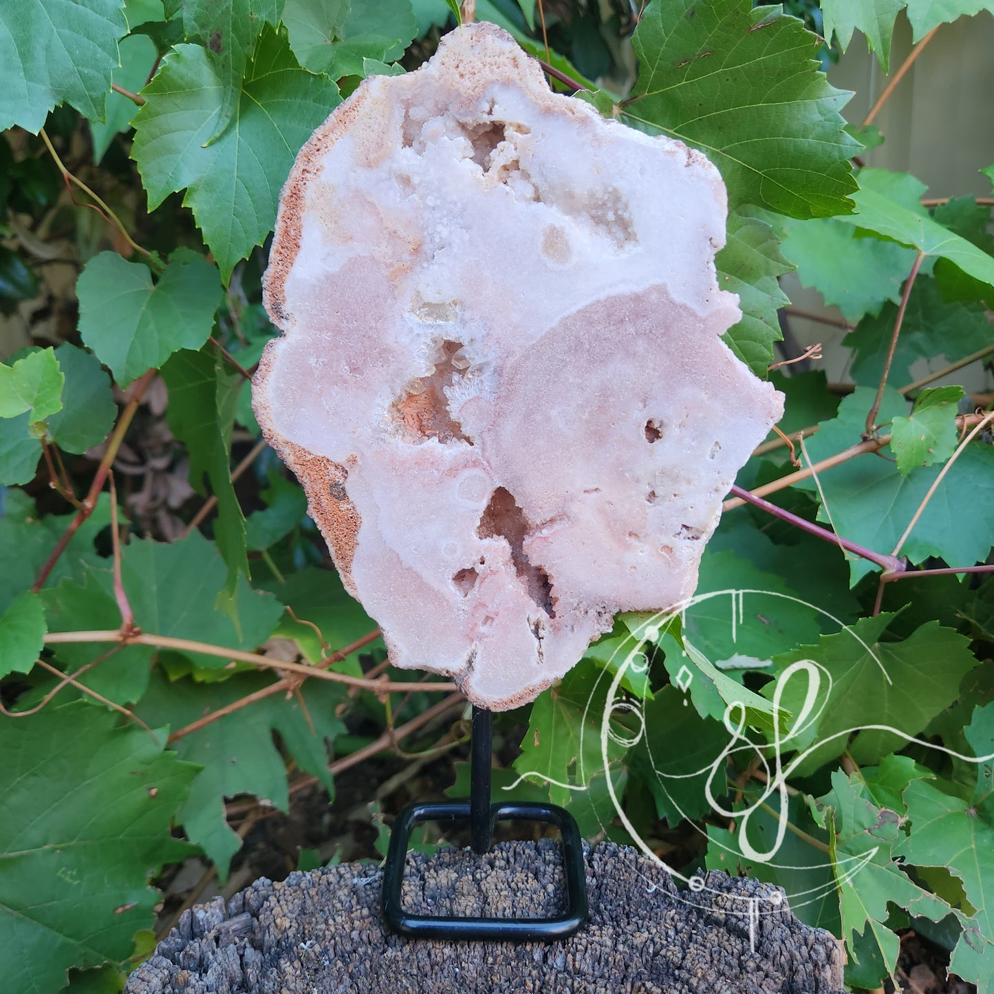 Pink Amethyst stand She Fire