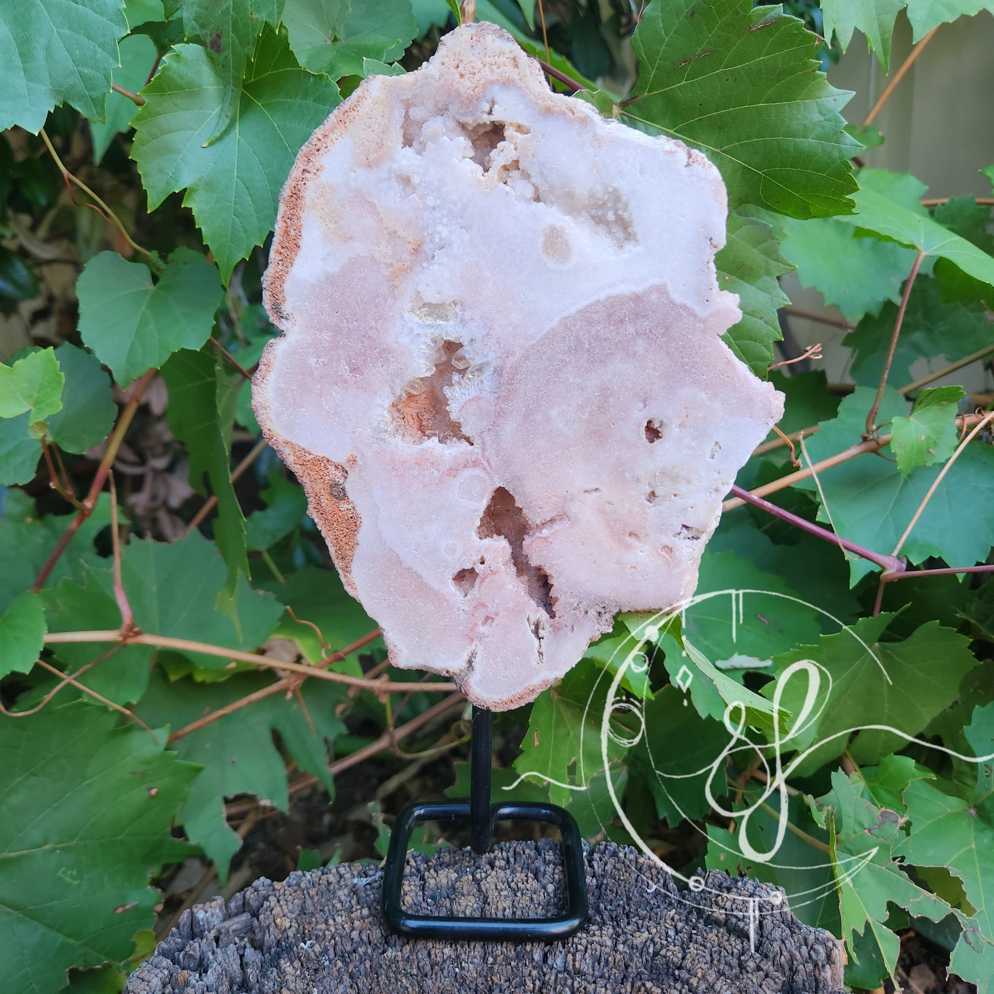 Pink Amethyst stand She Fire