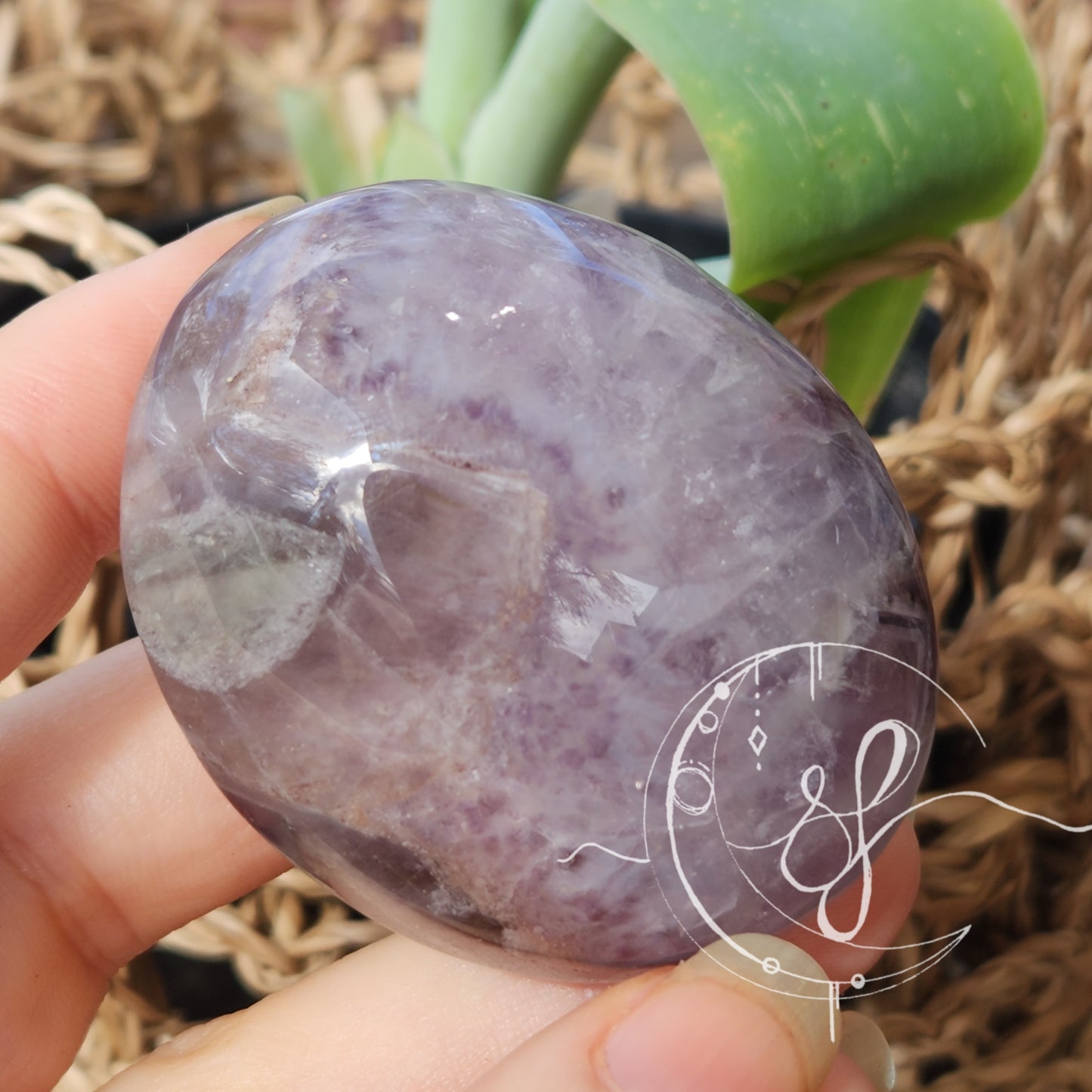 Dream Amethyst Palm A
